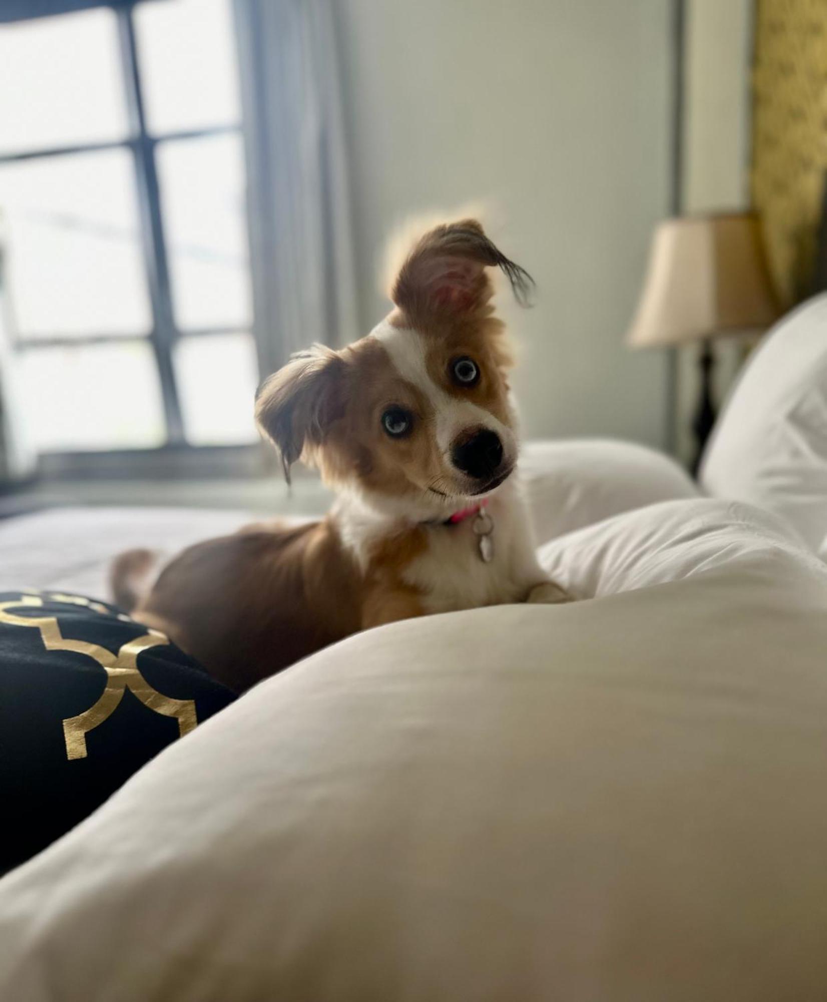 Latchis Hotel Brattleboro Ngoại thất bức ảnh
